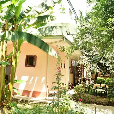 Sayfi Guesthouse Душанбе Экстерьер фото
